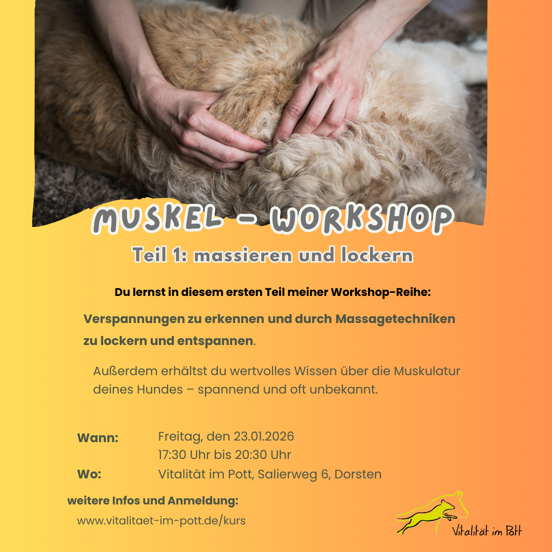 Muskelworkshop1