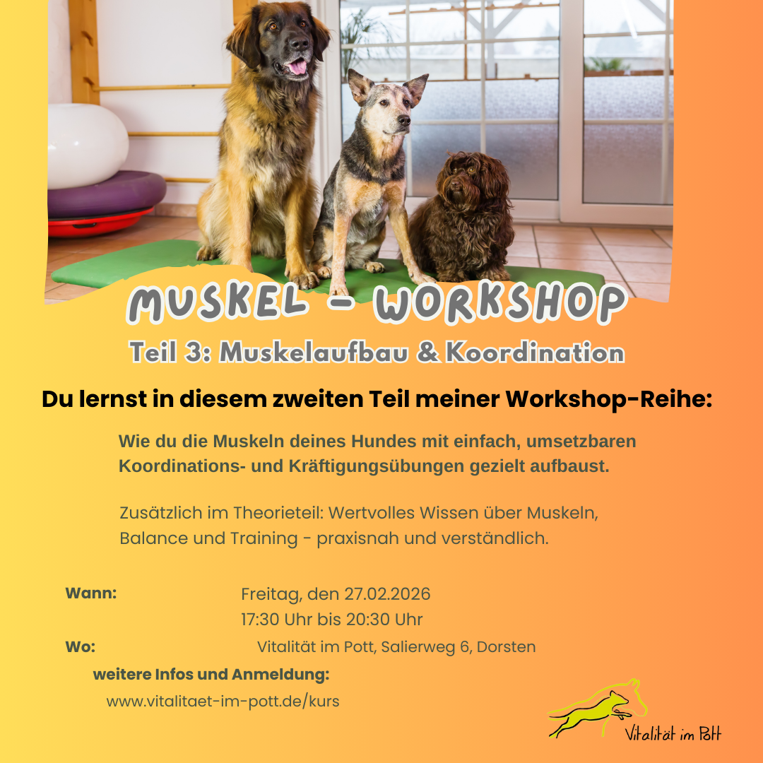 Muskelworkshop3