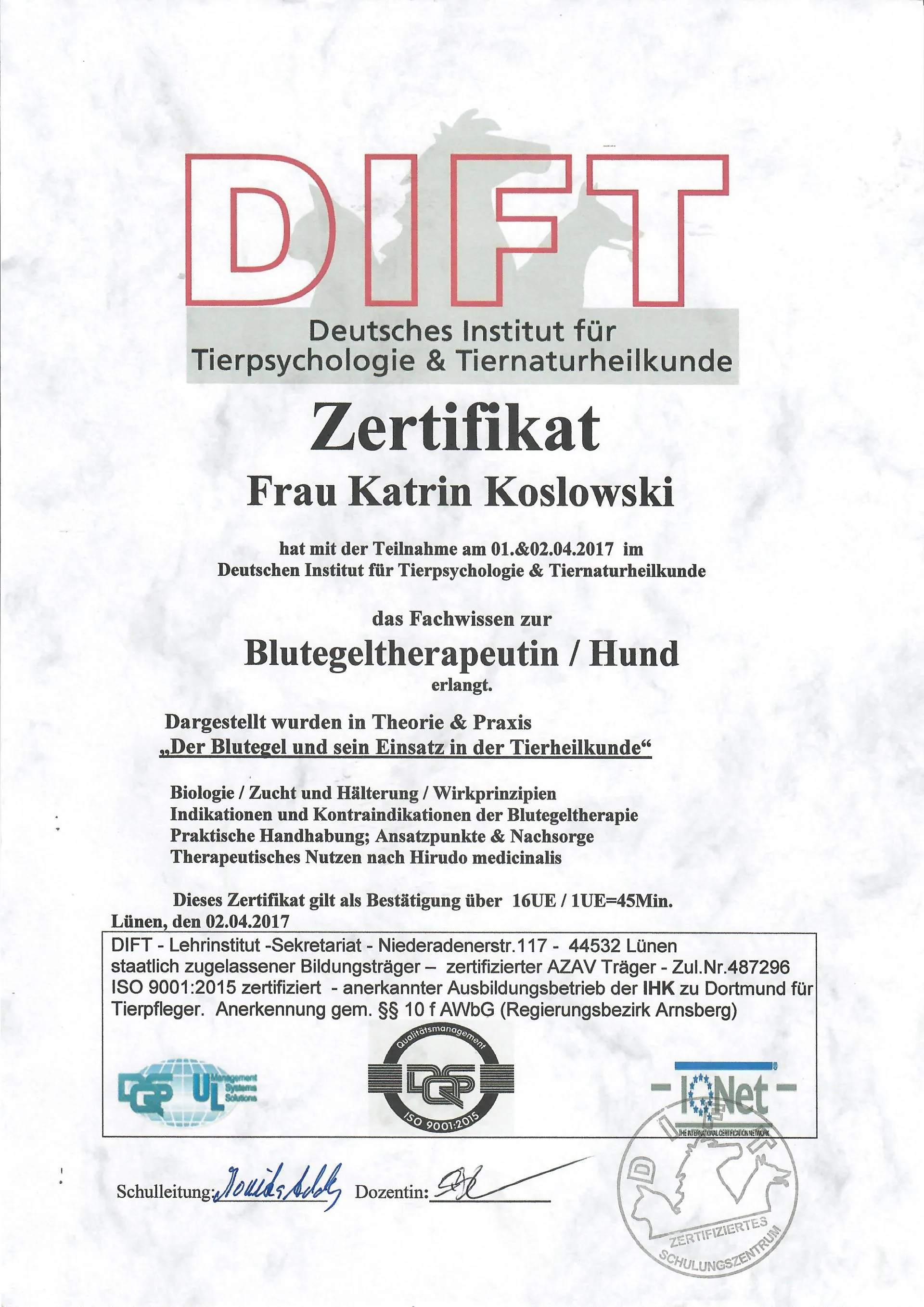 Bild Blutegel