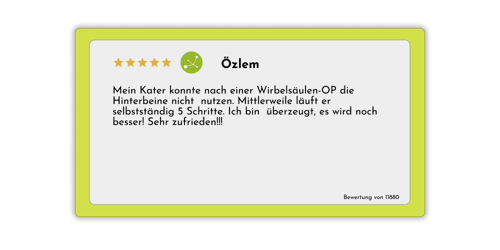 Review 3