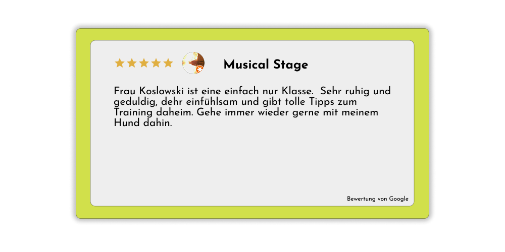 Review 5
