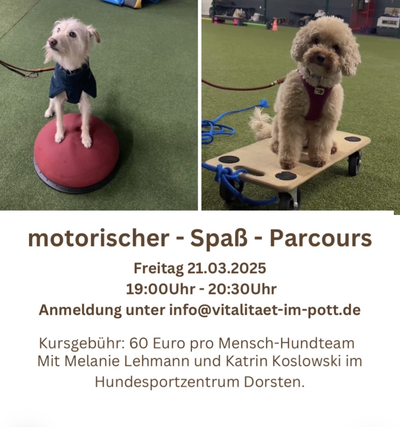 Kursbild