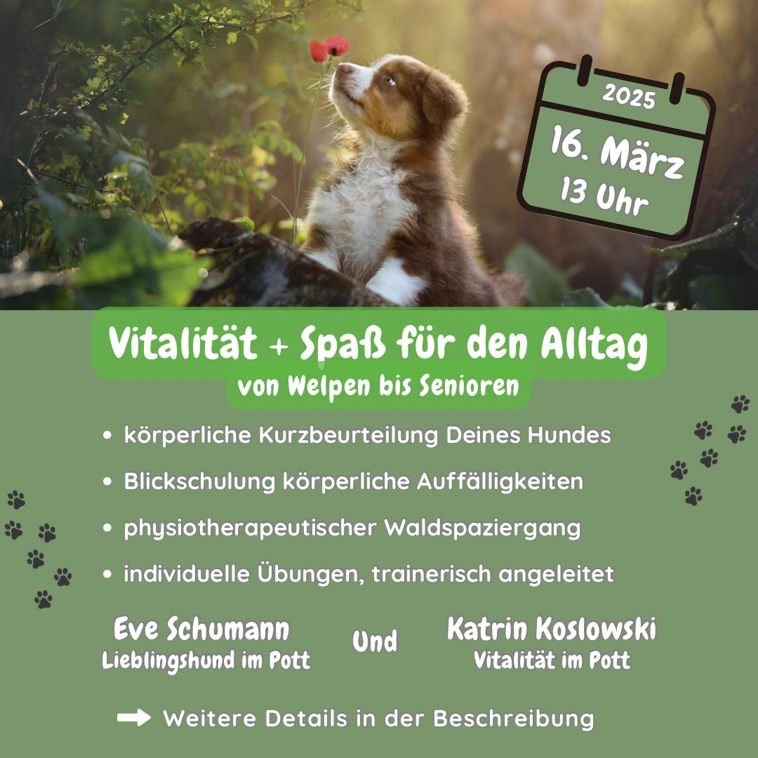 Kursbild
